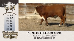 Lot #34 - KR 9110 FREEDOM 482M