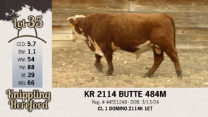Lot #35 - KR 2114 BUTTE 484M