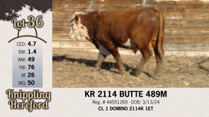 Lot #36 - KR 2114 BUTTE 489M