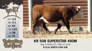 Lot #37 - KR 50B SUPERSTAR 490M