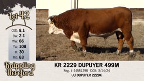 Lot #42 - KR 2229 DUPUYER 499M