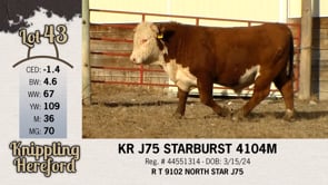 Lot #43 - KR J75 STARBURST 4104M