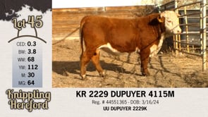Lot #45 - KR 2229 DUPUYER 4115M