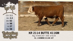 Lot #46 - KR 2114 BUTTE 4116M