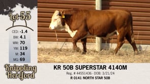 Lot #55 - KR 50B SUPERSTAR 4140M