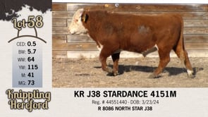 Lot #58 - KR J38 STARDANCE 4151M