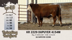 Lot #59 - KR 2229 DUPUYER 4154M