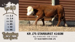 Lot #60 - KR J75 STARBURST 4160M