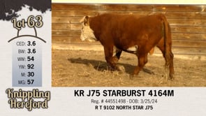 Lot #63 - KR J75 STARBURST 4164M
