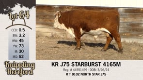 Lot #64 - KR J75 STARBURST 4165M