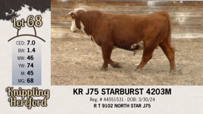 Lot #68 - KR J75 STARBURST 4203M