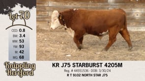 Lot #70 - KR J75 STARBURST 4205M