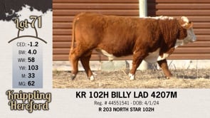 Lot #71 - KR 102H BILLY LAD 4207M