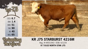 Lot #73 - KR J75 STARBURST 4216M