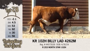Lot #78 - KR 102H BILLY LAD 4262M