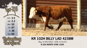 Lot #76 - KR 102H BILLY LAD 4238M