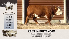 Lot #3 - KR 2114 BUTTE 406M