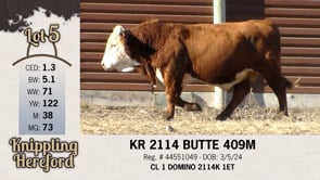 Lot #5 - KR 2114 BUTTE 409M