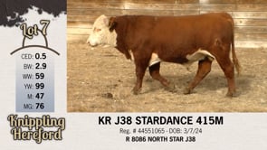 Lot #7 - KR J38 STARDANCE 415M
