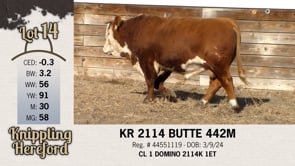 Lot #14 - KR 2114 BUTTE 442M