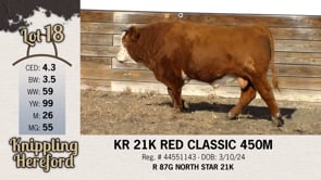 Lot #18 - KR 21K RED CLASSIC 450M