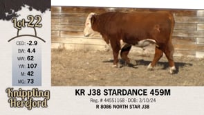 Lot #22 - KR J38 STARDANCE 459M