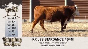 Lot #26 - KR J38 STARDANCE 464M