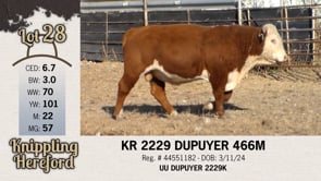 Lot #28 - KR 2229 DUPUYER 466M