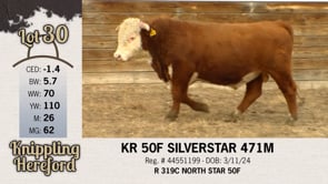 Lot #30 - KR 50F SILVERSTAR 471M