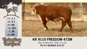 Lot #31 - KR 9110 FREEDOM 472M