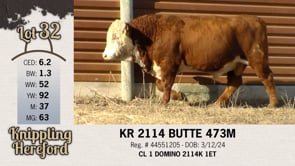 Lot #32 - KR 2114 BUTTE 473M
