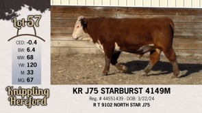 Lot #57 - KR J75 STARBURST 4149M