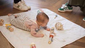 Related Embedded Video Item Thumbnail