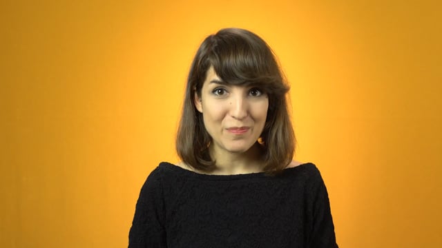 video German Language for Beginners  Part 2 – Unit 1 – Der Lebenslauf (Resume)