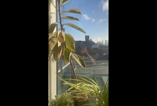 Double bedroom with stunning views Main Photo