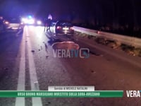 Orso Bruno marsicano investito sulla Sora-Avezzano