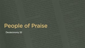 Related Embedded Video Item Thumbnail