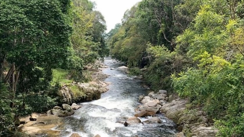 vimeo-video-thumbnail