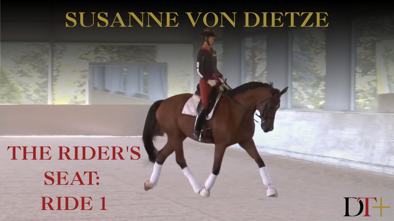 The Rider's Seat, Ride 1 | Susanne von Dietze