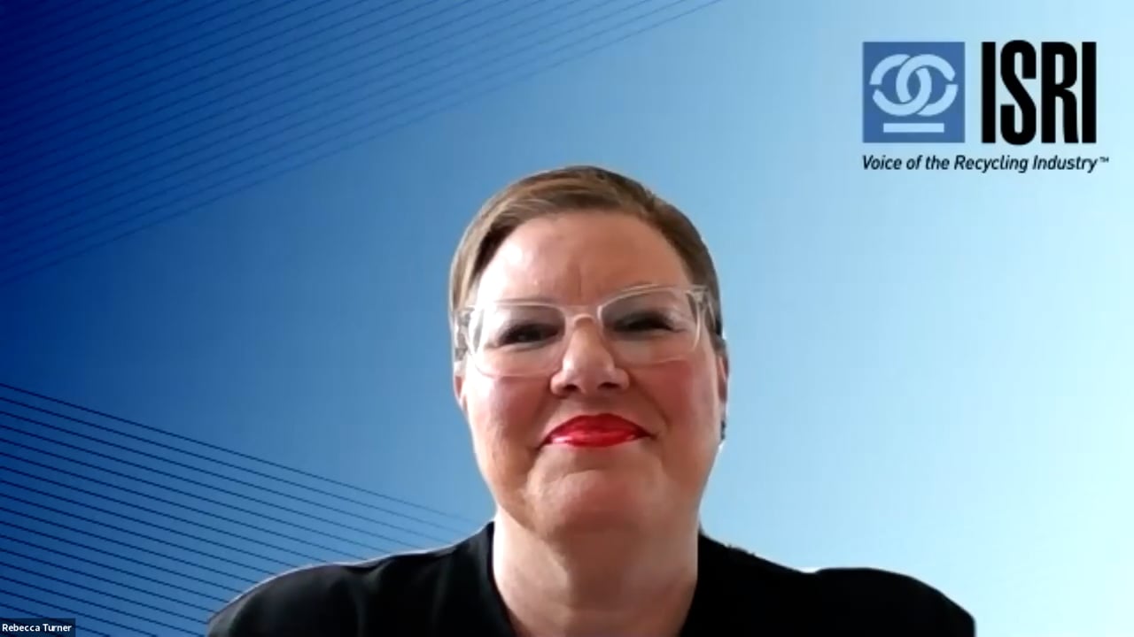 ISRI Webinar: Making the Most of Mentorship Opportunities