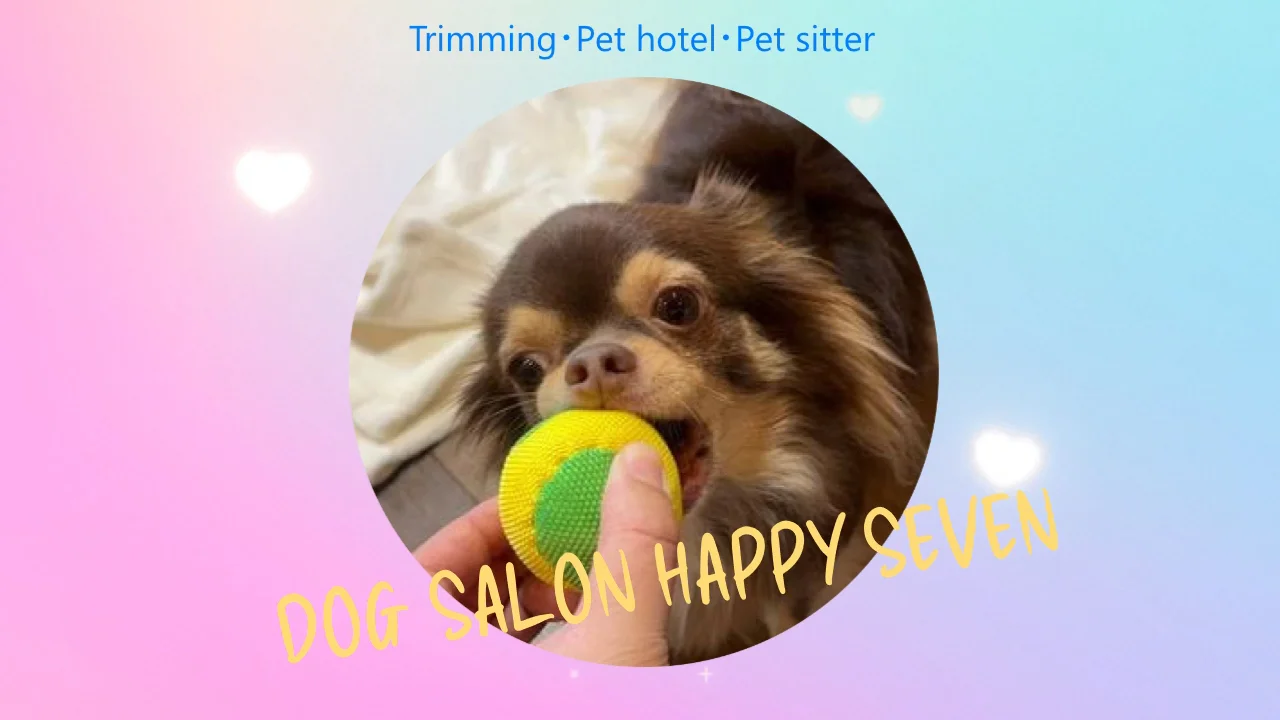 DOG SALON HAPPY SEVEN｜静岡県浜松市中央区｜EPARKペットライフ