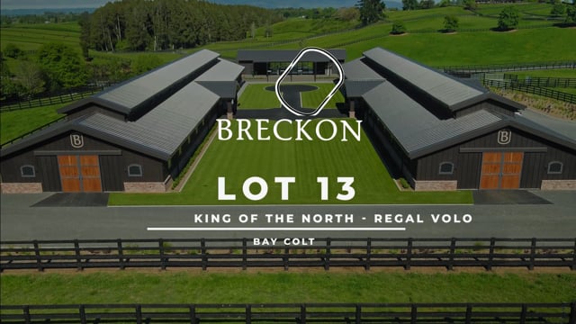 Lot 13