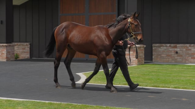 Lot 19
