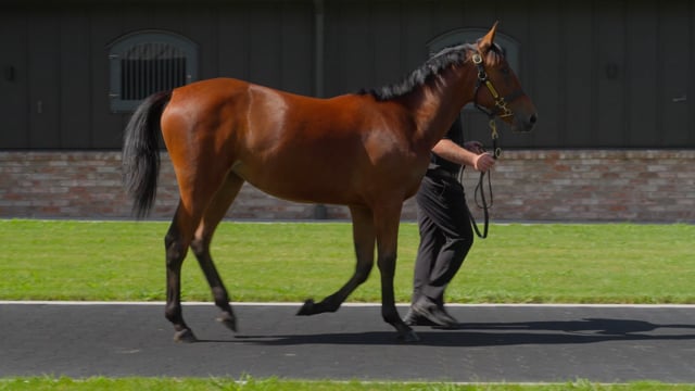 Lot 124