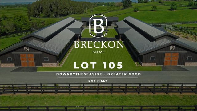 Lot 105