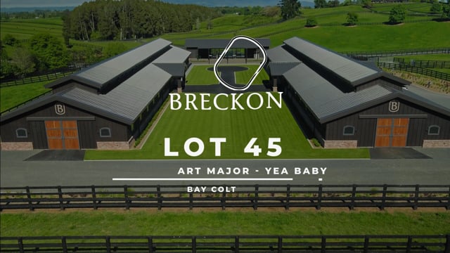 Lot 45