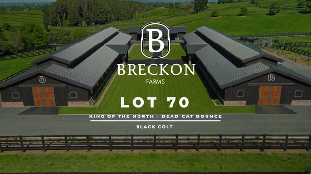 Lot 70
