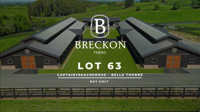 Lot 63