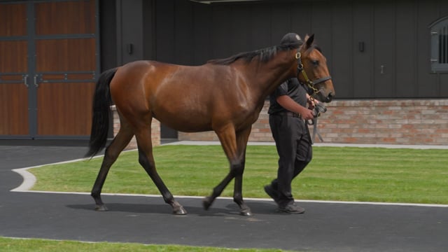 Lot 87