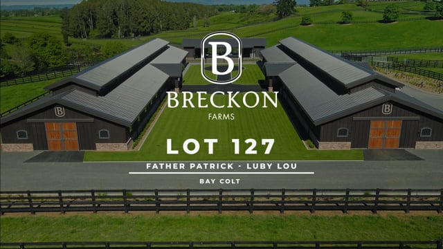 Lot 127